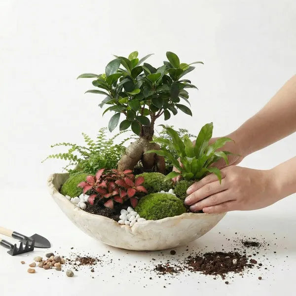 Kit Terrarium Fai da Te "Geo Terrarium" | Giardino Zen con Bonsai e Ciotola Artigianale