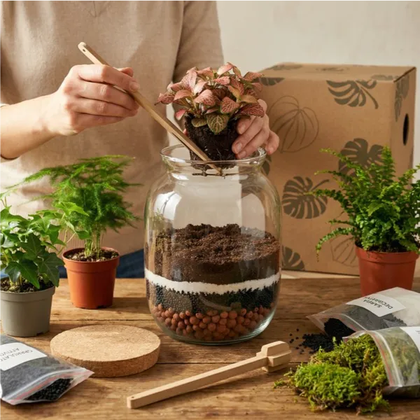 Kit Fai Da Te Terrarium Completo - Crea il Tuo Mini Giardino Elegante