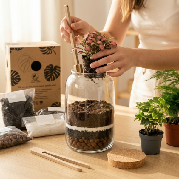 Kit Terrarium Fai Da Te Nadia | Crea il Tuo Giardino da Interno