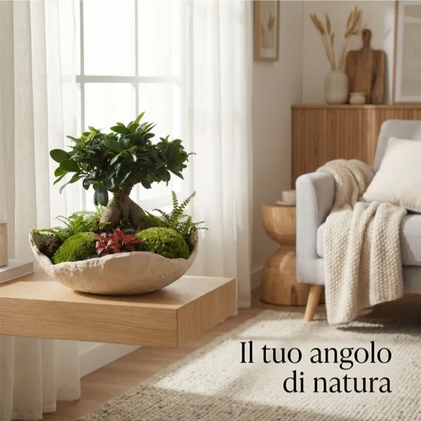 Kit Terrarium Fai da Te "Geo Terrarium" | Giardino Zen con Bonsai e Ciotola Artigianale