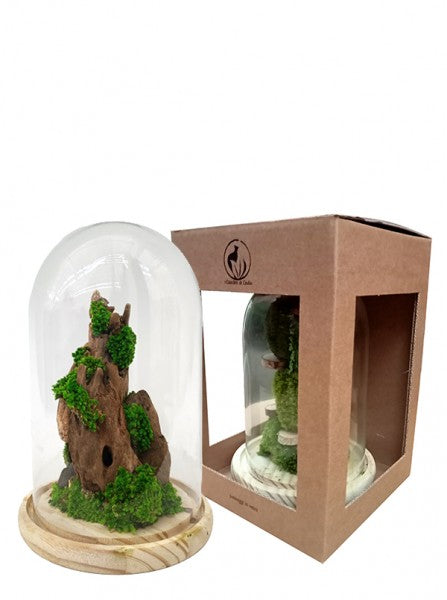 Composizione di muschi e licheni presentata accanto a una scatola di cartone con finestra trasparente per l'anteprima.