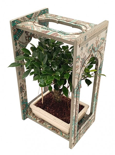 L'immagine mostra bonsai con vaso ceramica e cornice in legno