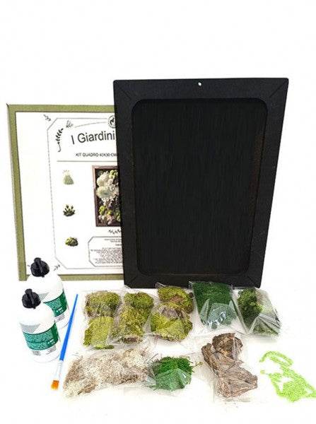 l'immagine mostra un kit per la realizzazione di un quadro di verde stabilizzato 
