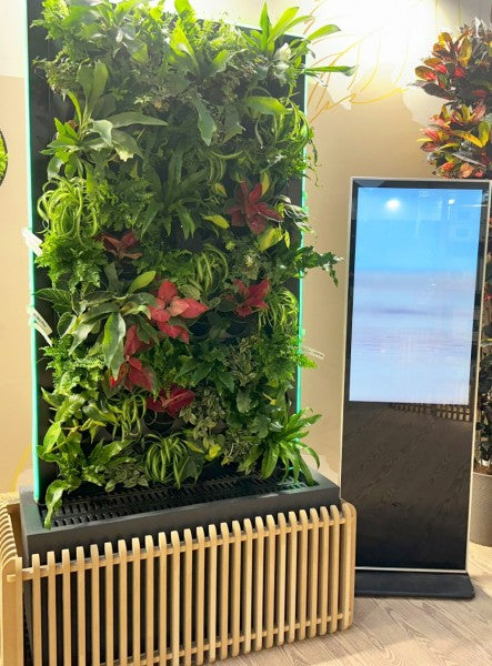 L' immagine mostra una parete  verticale  con piante ornamentali con impianto idrico intelligente a controllo avanzato gestito da app.