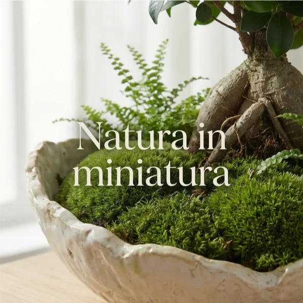 Kit Terrarium Fai da Te "Geo Terrarium" | Giardino Zen con Bonsai e Ciotola Artigianale