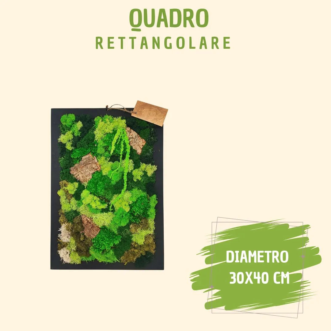 Quadro rettangolare 30X40 cm di muschi e licheni stabilizzato con scatola regalo