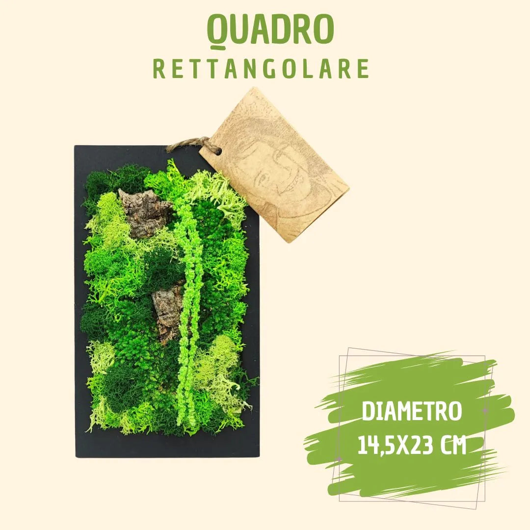 Quadro rettangolare mini di muschi e licheni stabilizzato con scatola regalo