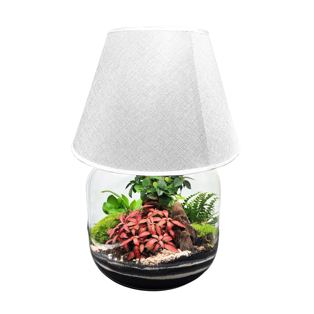 Terrarium Lamparium Martina - i Giardini di Giulia  