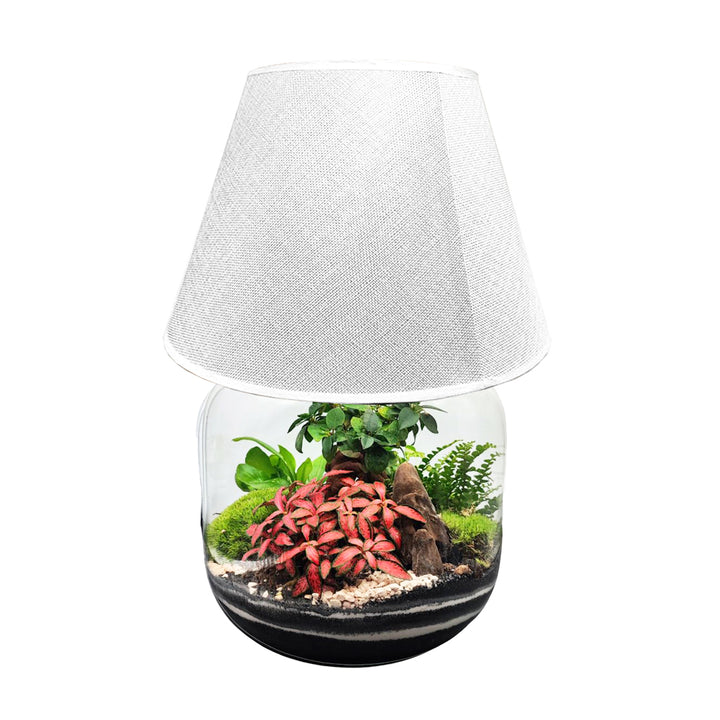 Terrarium Lamparium Martina - i Giardini di Giulia  