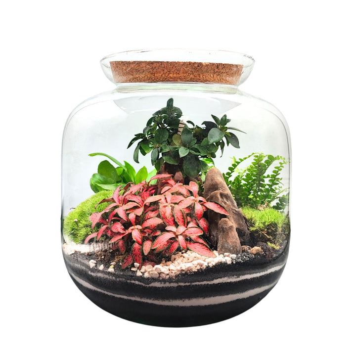 Terrarium Giardino Segreto Urbano - i Giardini di Giulia  