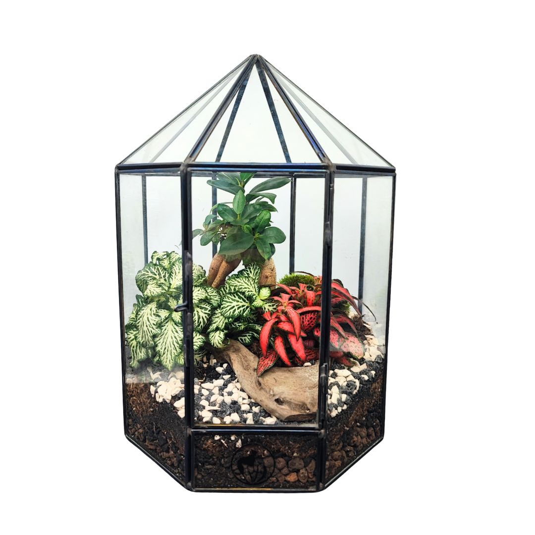 Terrarium Prisma incantato 060V - i Giardini di Giulia  