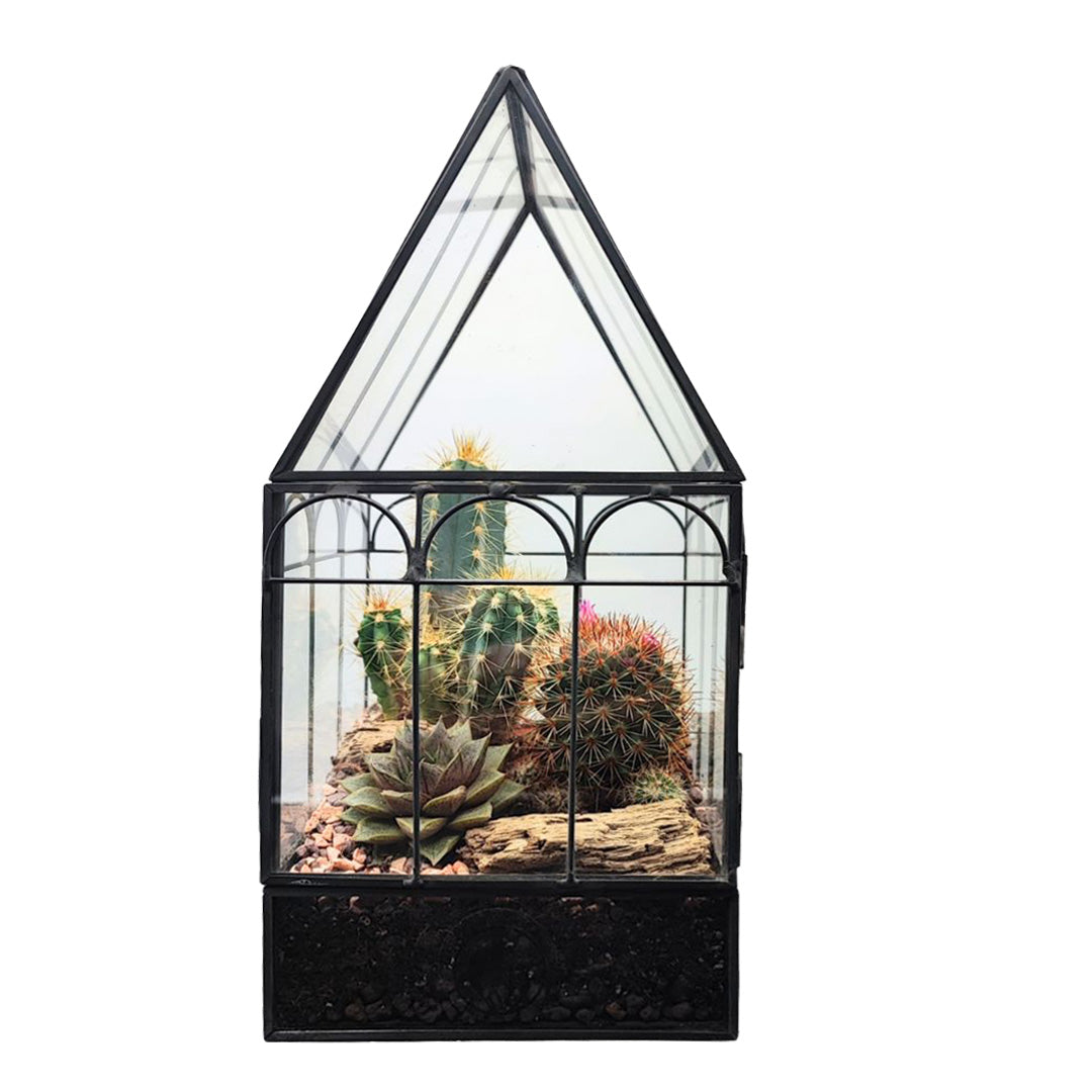 Terrarium Mini Serra Romantica con Piante Grasse 063G - i Giardini di Giulia  