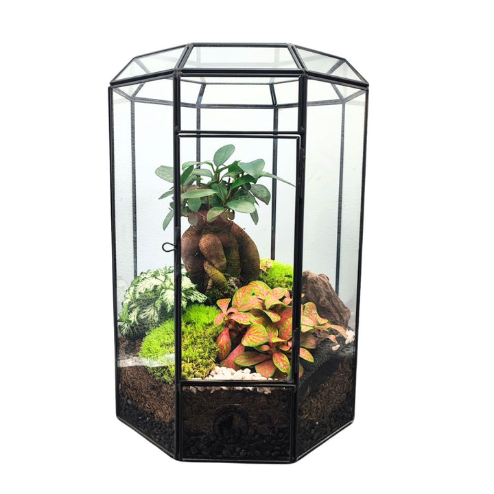 Terrarium Infinito 069V - i Giardini di Giulia  
