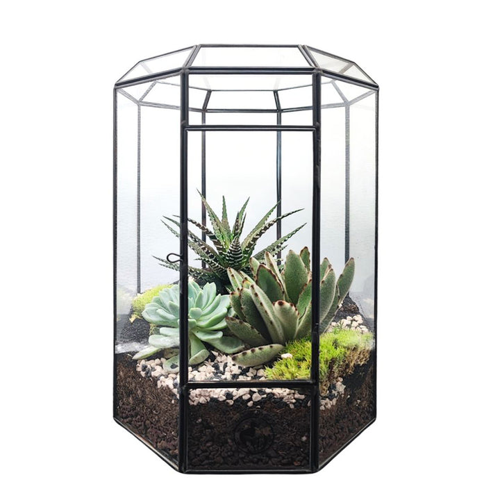 Terrarium Piante Grasse Serra Ottagonale Romantica 069G - i Giardini di Giulia  