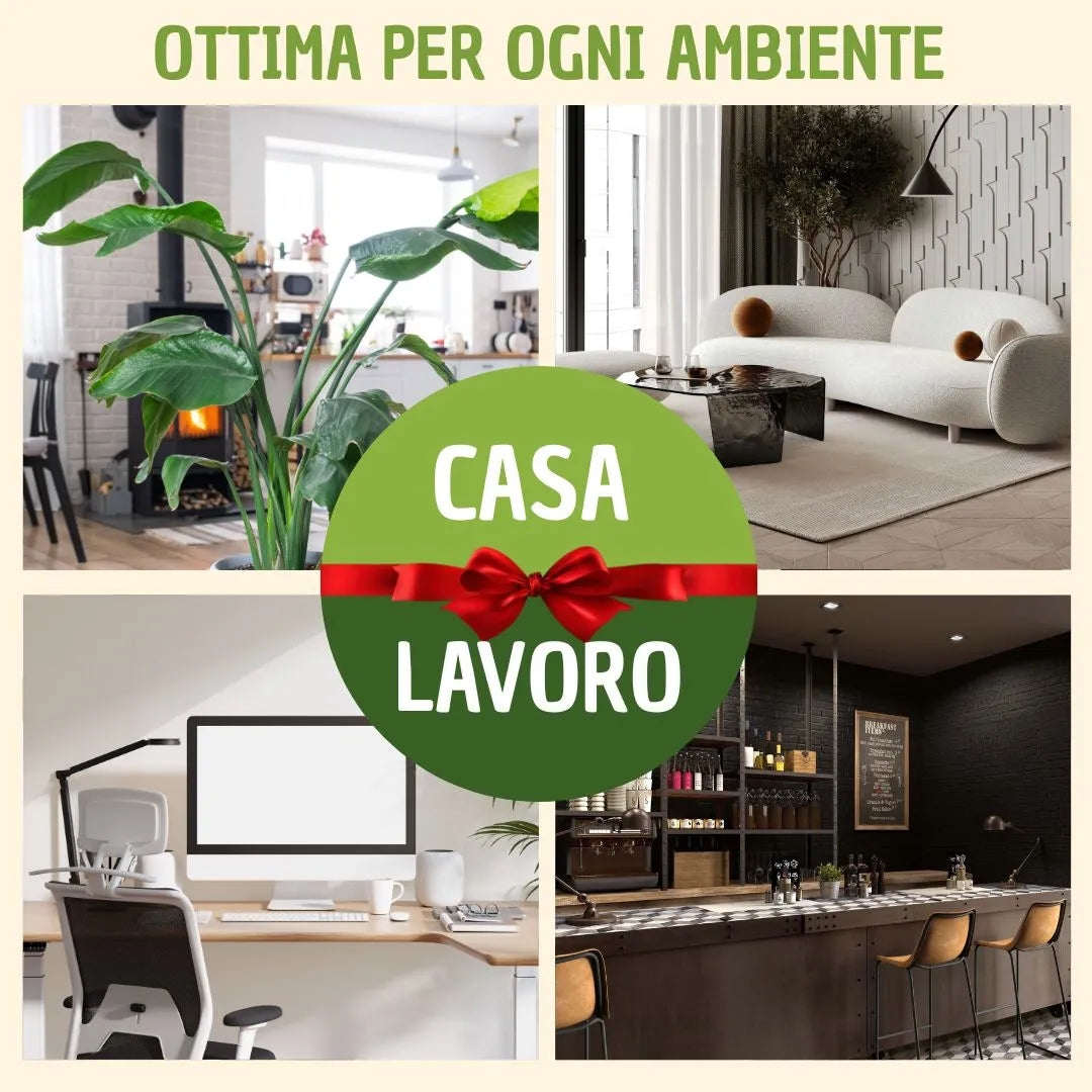 Quadro rettangolare mini di muschi e licheni stabilizzato con scatola regalo