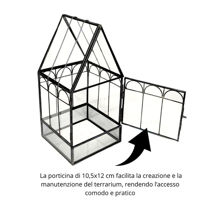 Kit Terrarium Geometrico Fai Da Te Giada Piante grasse