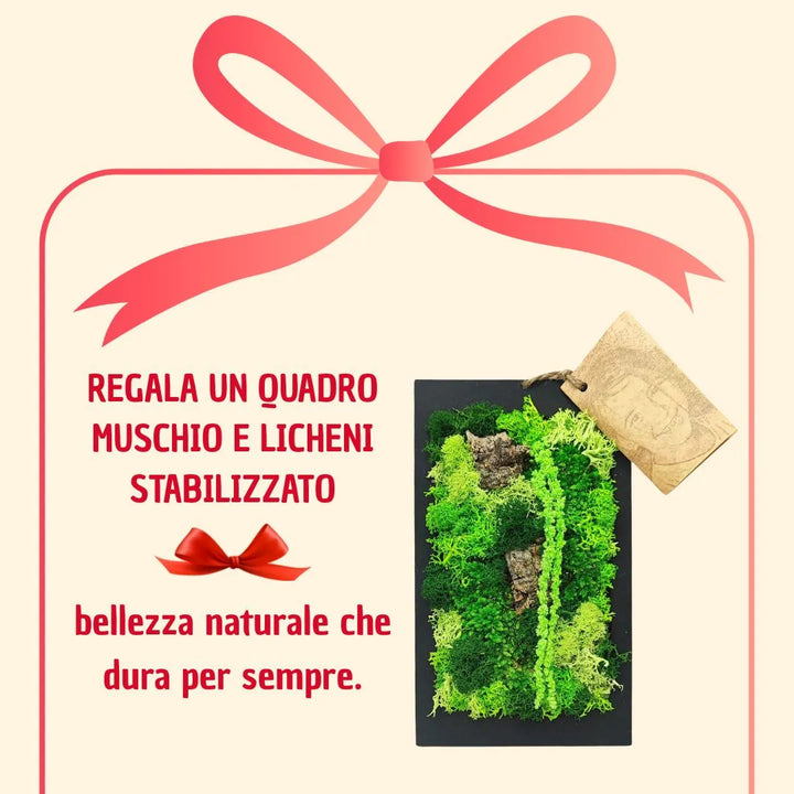 Quadro rettangolare mini di muschi e licheni stabilizzato con scatola regalo