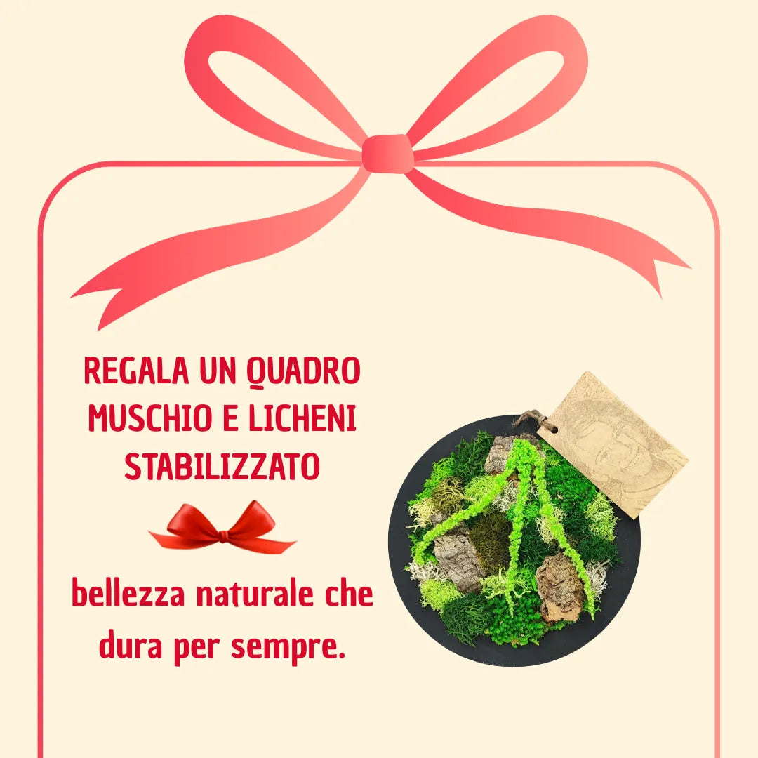 Quadro tondo mini di muschi e licheni stabilizzato con scatola regalo