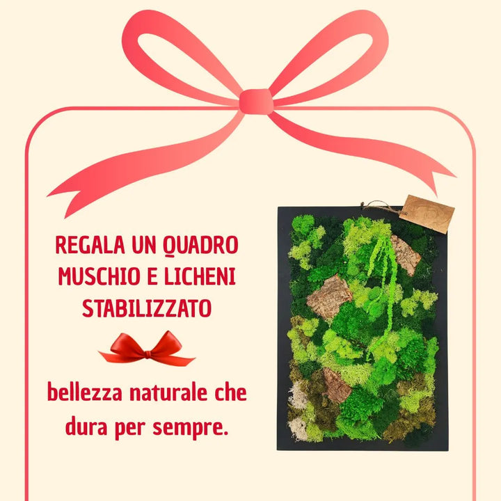 Quadro rettangolare 30X40 cm di muschi e licheni stabilizzato con scatola regalo