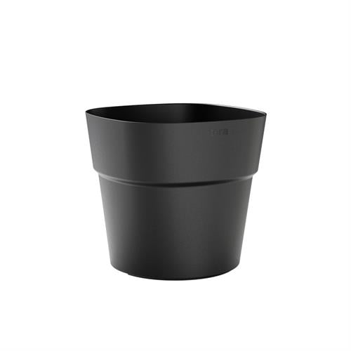 Vaso Andromeda - i Giardini di Giulia  