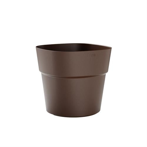 Vaso Andromeda - i Giardini di Giulia  
