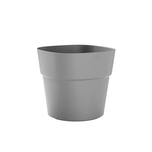 Vaso Andromeda - i Giardini di Giulia  