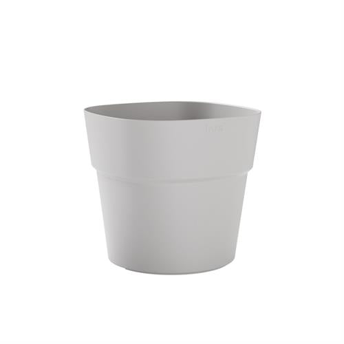 Vaso Andromeda - i Giardini di Giulia  