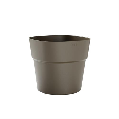 Vaso Andromeda - i Giardini di Giulia  