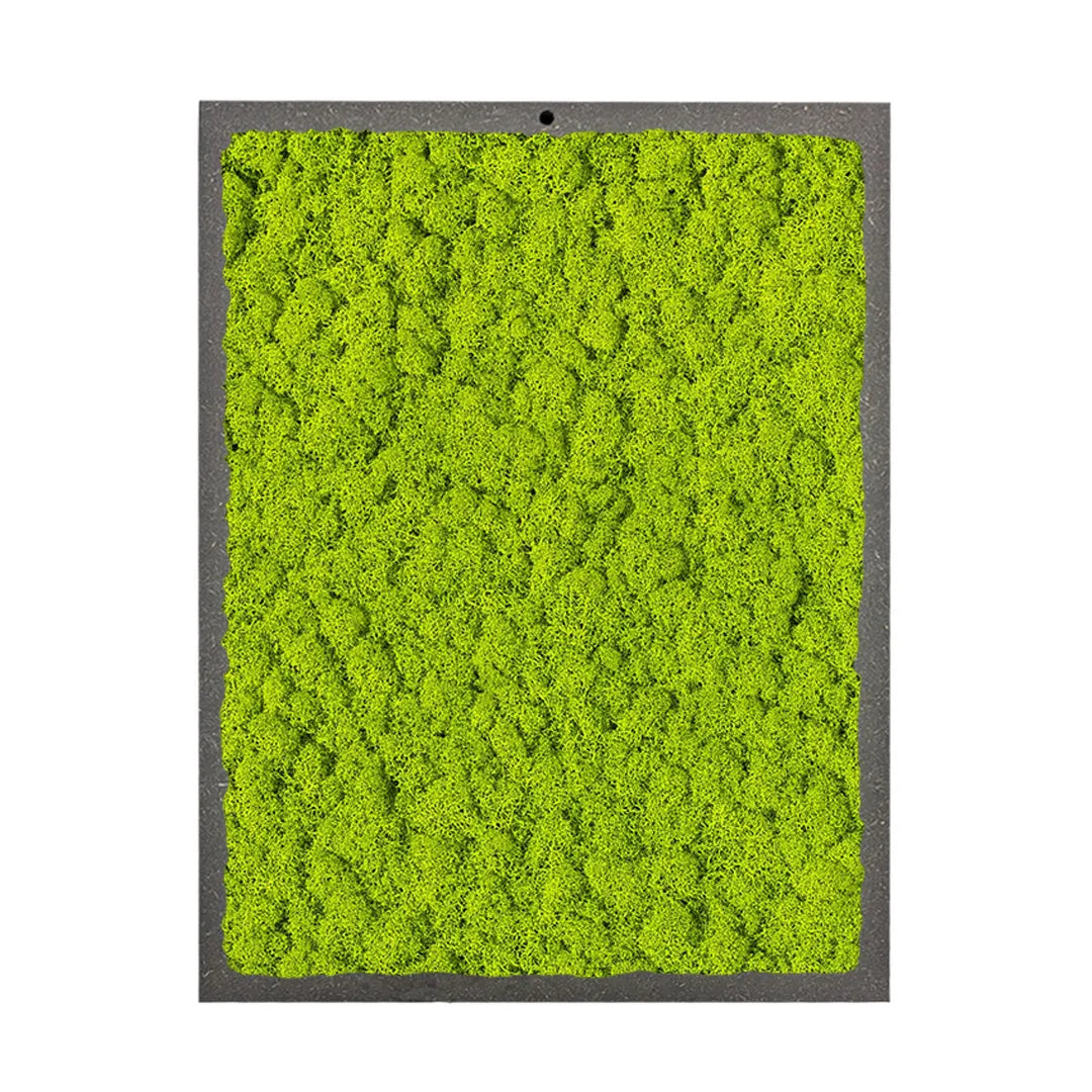 limmagine mosta un quadro con licheni di colore verde chiaro 