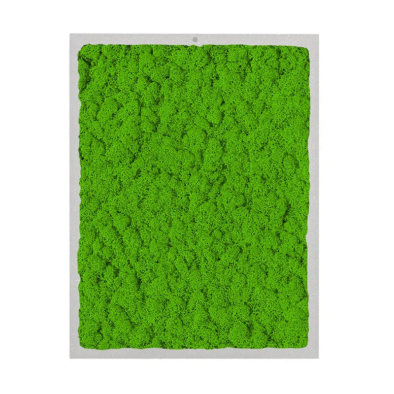 limmagine mosta un quadro con licheni di colore verde chiaro 
