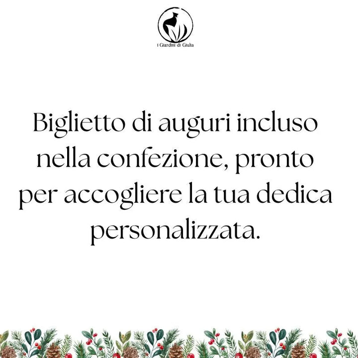 Kokedama Aglaonema Sab Mongkol con scatola regalo