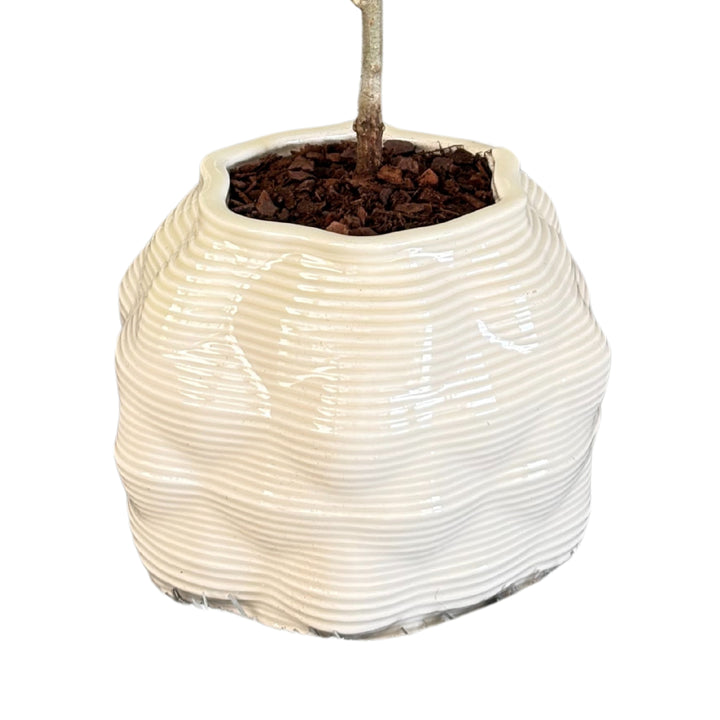 Particolare del vaso in ceramica Bangkok a rilievo bianco panna

