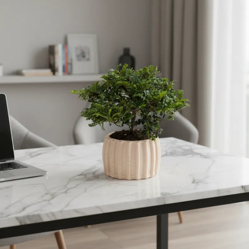 Bonsai Pepe in vaso ceramica artigianale - dettaglio del tronco e delle foglie
