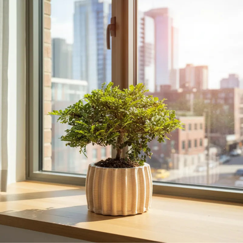 Vaso Dioniso in ceramica artigianale - texture e finitura del vaso