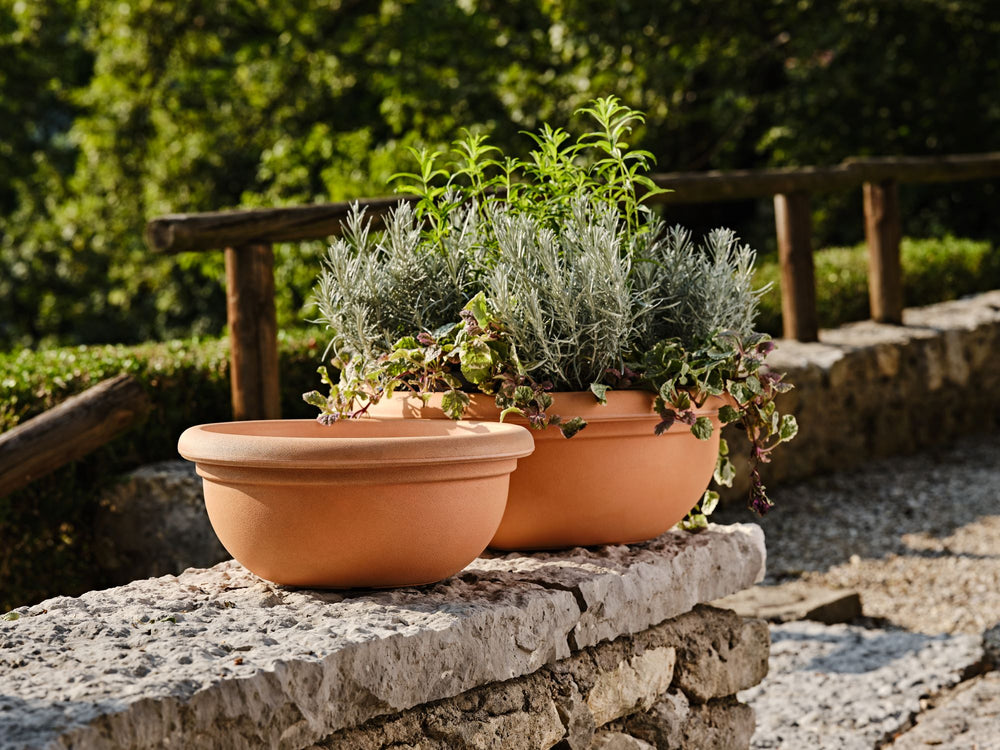 l'immagine mostra due vasi da giardino rotondo in polietilene di color terracotta, con design classico e bordo sporgente. All'interno piante fiorite.