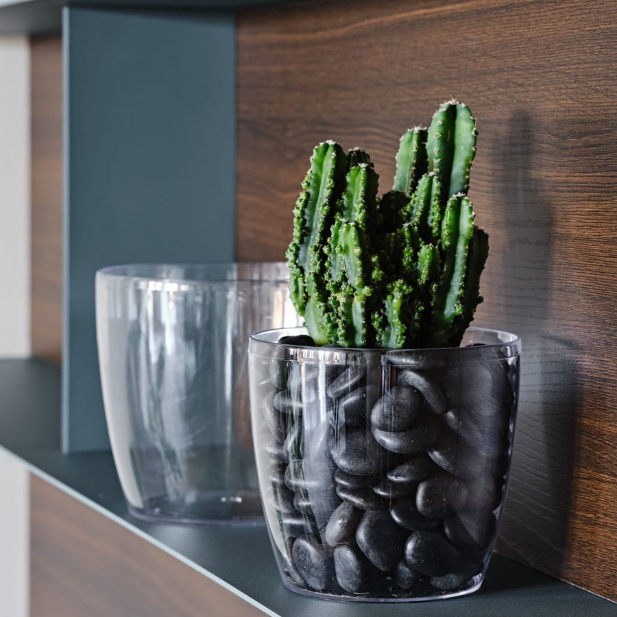 Pianta di cactus coltivata in un vaso trasparente riempito con ciottoli neri lisci, posizionata su una mensola con sfondo in legno e elementi grigio scuro. Soluzione decorativa per interni in stile contemporaneo.