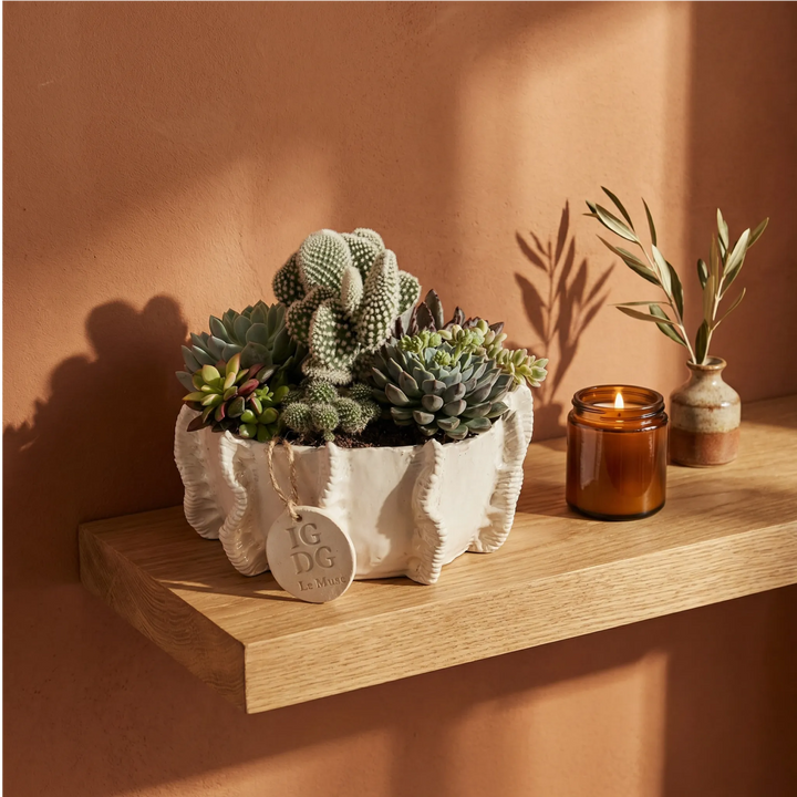 Composizione di piante grasse e cactus in vaso decorativo IGDG Le Muse posizionata su mensola in legno con candela accesa, ideale come centrotavola o complemento d’arredo moderno per interni.