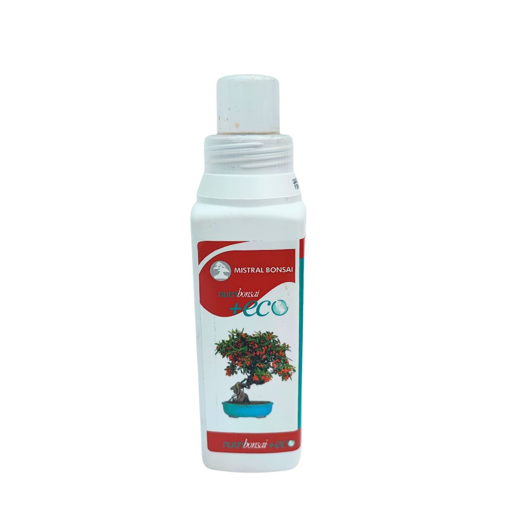 Bottiglia concime eco-friendly per bonsai

