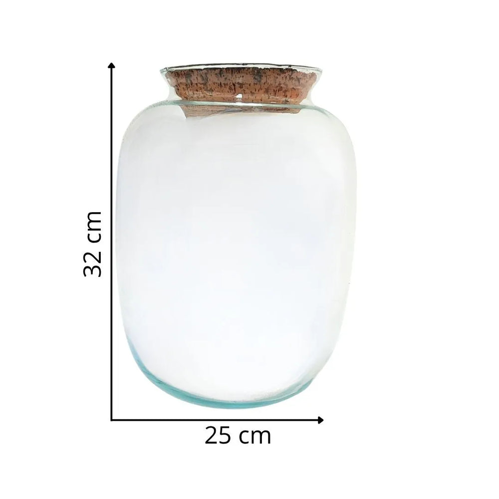 Barattolo in vetro soffiato con dimensioni H32 cm x Ø25 cm per terrarium con piante tropicali

