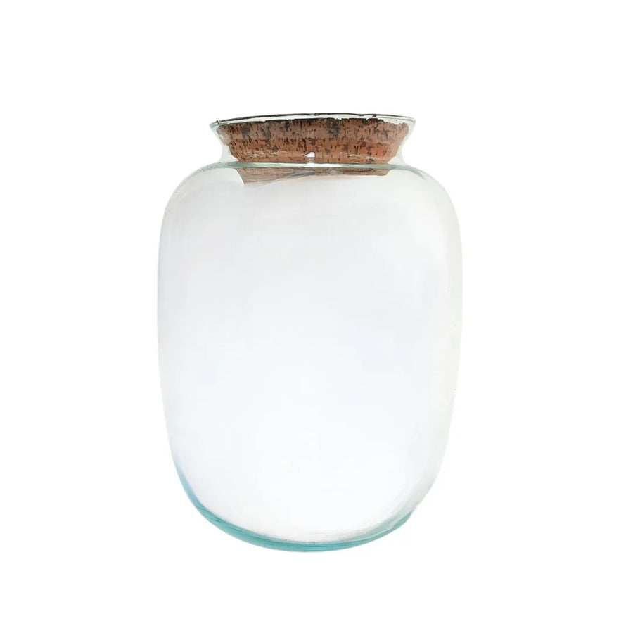 Contenitore in vetro soffiato trasparente con tappo in sughero naturale, perfetto per terrarium chiusi