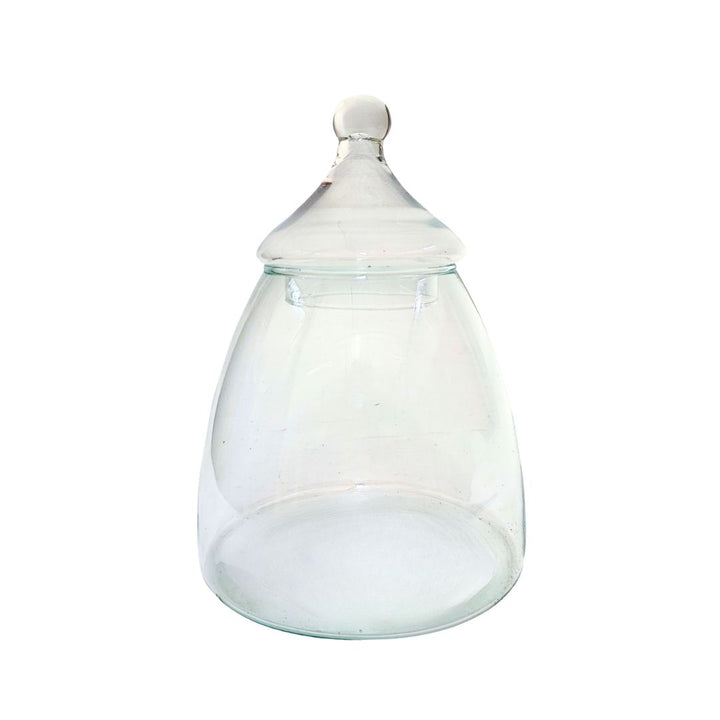 Contenitore in vetro soffiato per terrarium con tappo a cupola in vetro – ideale per composizioni vegetali chiuse


