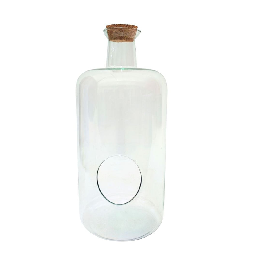  Vaso in vetro trasparente per terrarium chiuso con tappo in sughero naturale