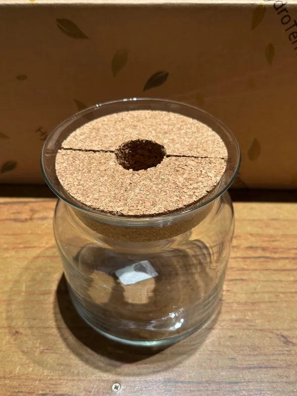 Contenitore con Tappo in sughero - i Giardini di Giulia 