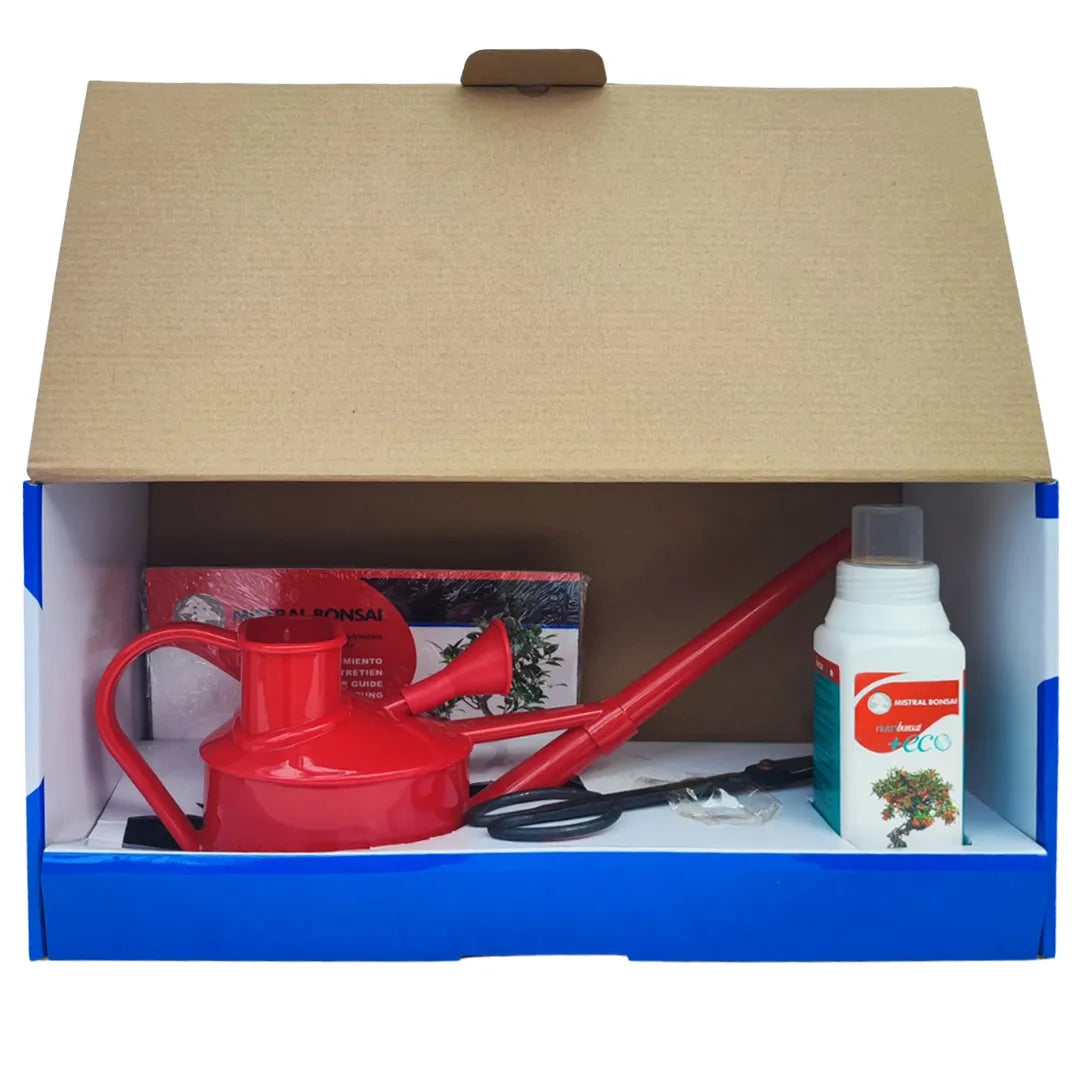 Interno della confezione Kit Manutenzione Bonsai Mistral