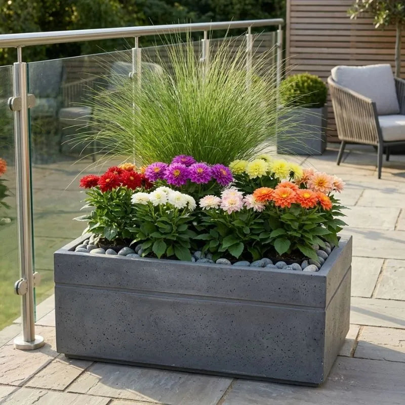 Dahlia online - Fioriera con Dahlie multicolore su terrazzo soleggiato