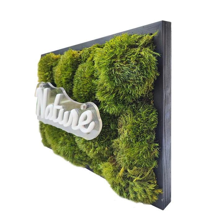 Profilo laterale del quadro in muschio stabilizzato con scritta Nature in LED bianco caldo
