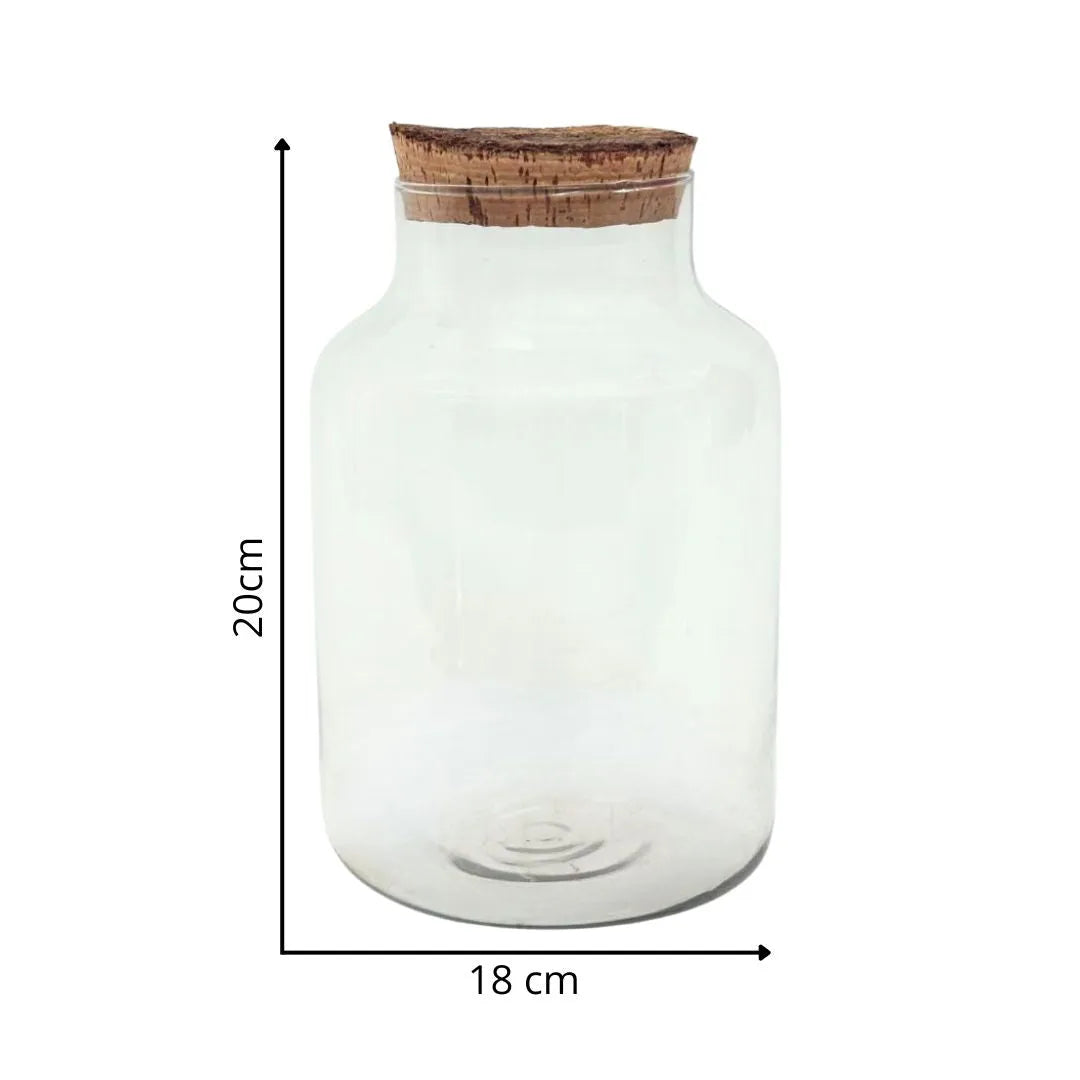 Vaso in vetro soffiato per terrarium – H 20 cm, diametro 18 cm, con tappo in sughero