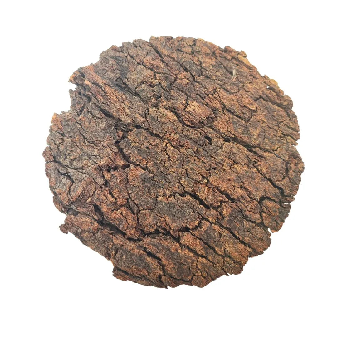 Dettaglio di disco in corteccia naturale, ideale per decorazioni di terrarium, composizioni green e allestimenti botanici