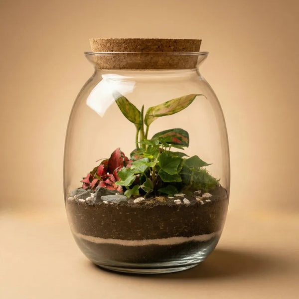 Terrarium Carlotte con piante verdi