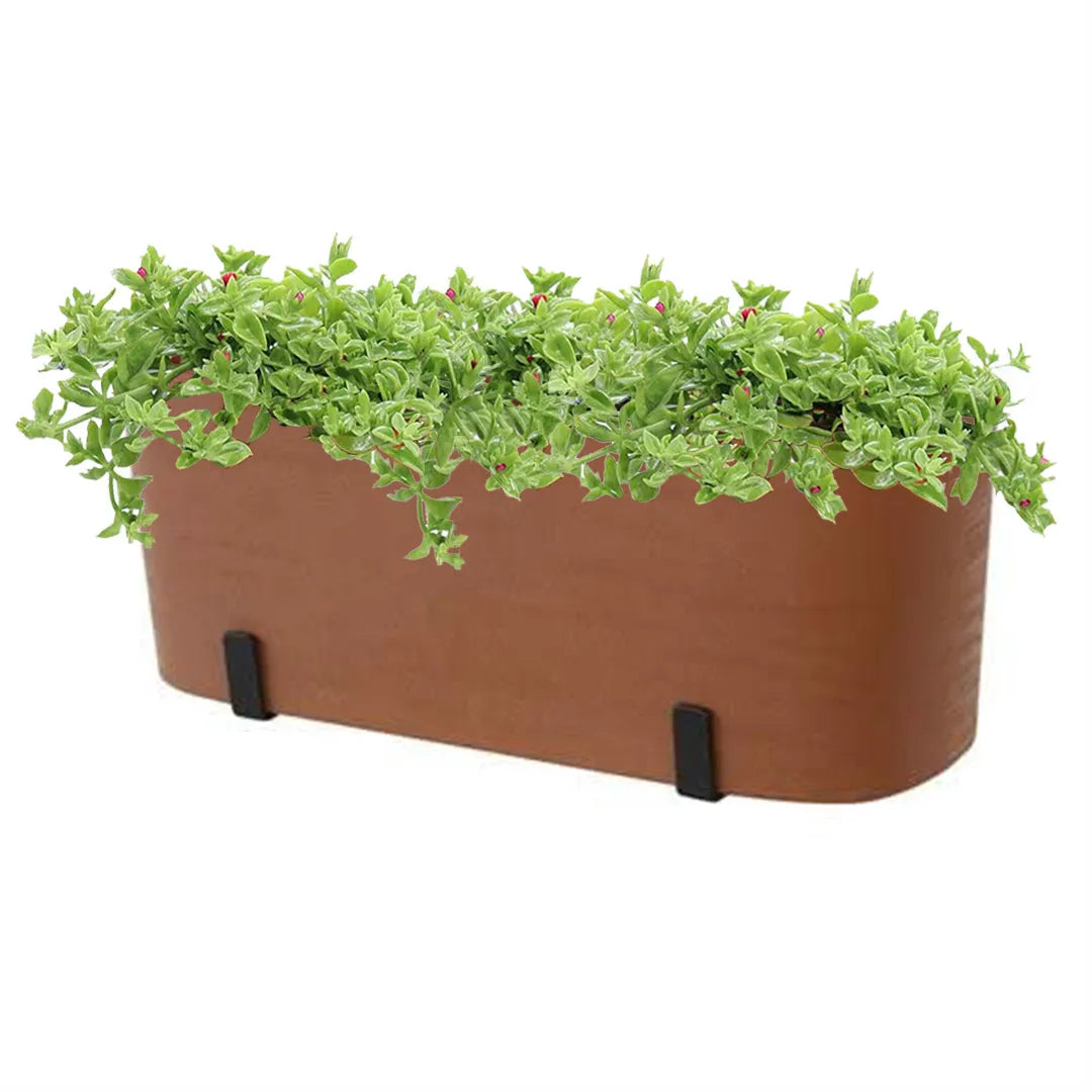 Fioriera rettangolare Paros da 40 cm in colore terracotta con 3 piante vere di Aptenia Variegata a portamento ricadente, perfetta per ringhiere e terrazzi soleggiati